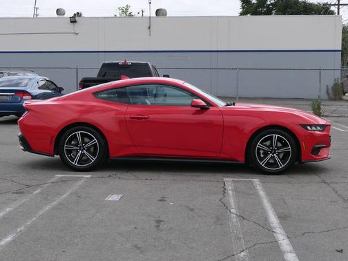 Race Red 2024 Ford Mustang EcoBoost Premium
