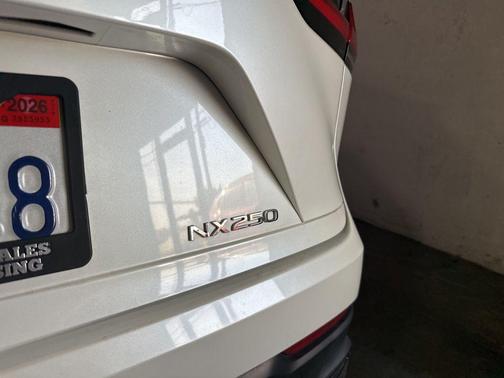 White Pearl 2024 Lexus NX 250 Base