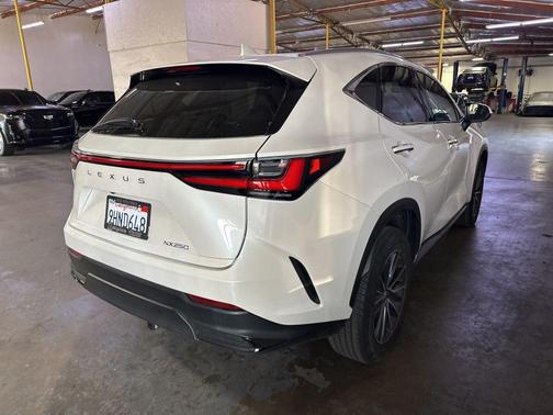 White Pearl 2024 Lexus NX 250 Base