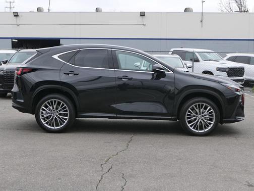2024 Lexus NX 350h Luxury