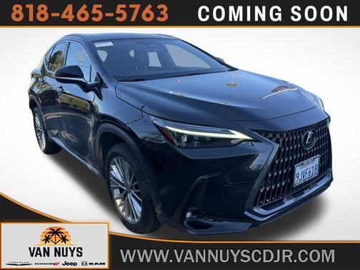 2024 Lexus NX 350h Luxury