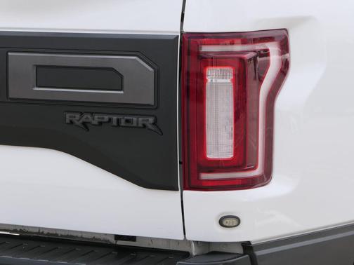 Oxford White 2019 Ford F-150 Raptor