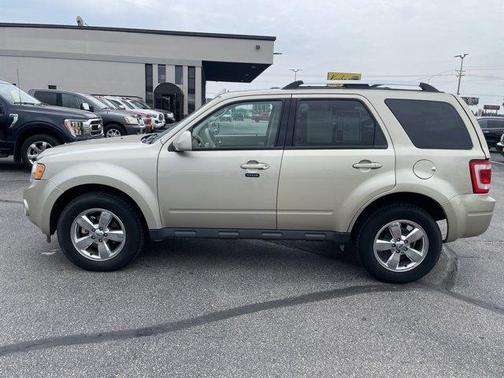 2010 Ford Escape Limited