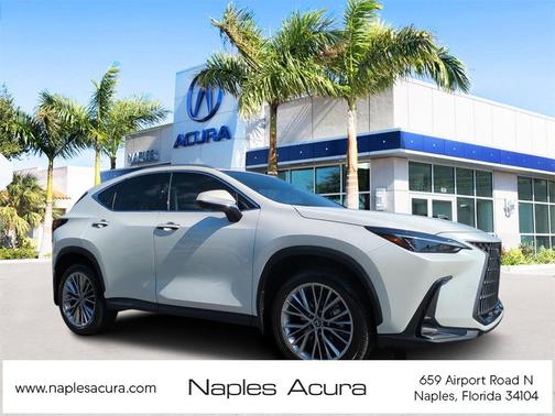 2025 Lexus NX 350 Premium