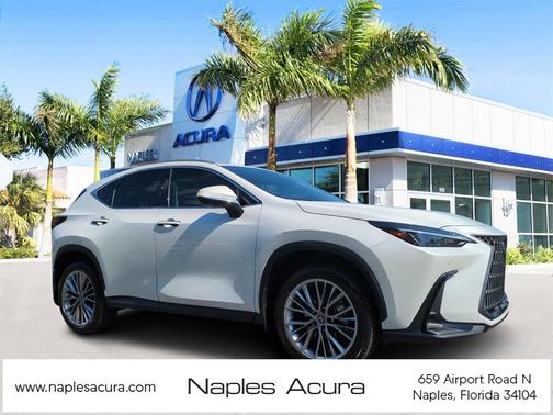 2025 Lexus NX 350 Premium