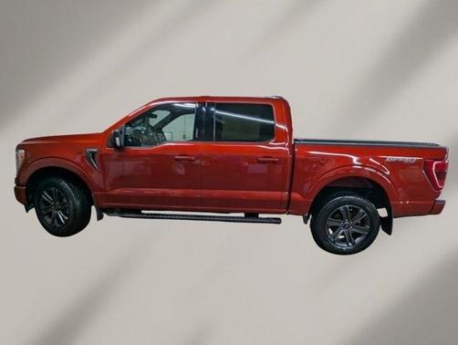 Pepper 2023 Ford F-150 XLT