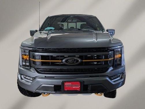 2023 Ford F-150 TREM
