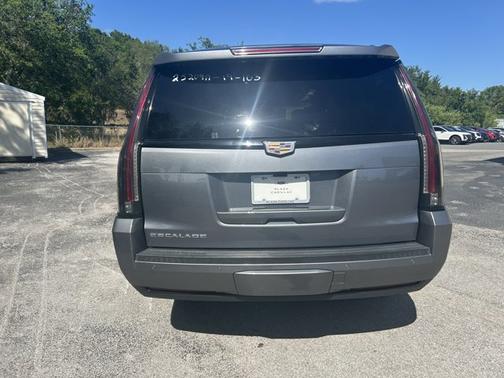 2019 Cadillac Escalade ESV Platinum