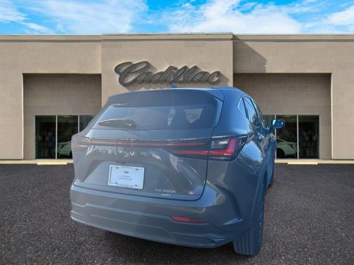 2024 Lexus NX 350h Premium