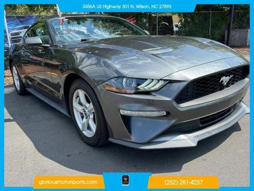 Magnetic 2019 Ford Mustang EcoBoost