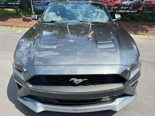 Magnetic 2019 Ford Mustang EcoBoost