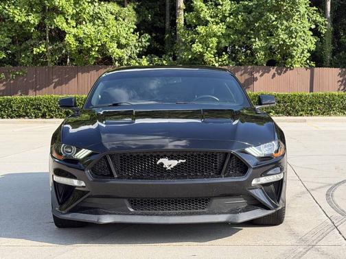 Black 2019 Ford Mustang GT
