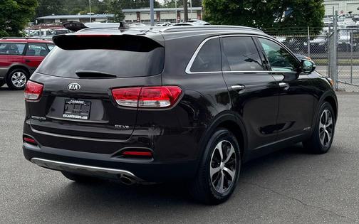 Polished Walnut 2017 Kia Sorento EX
