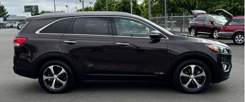 Polished Walnut 2017 Kia Sorento EX