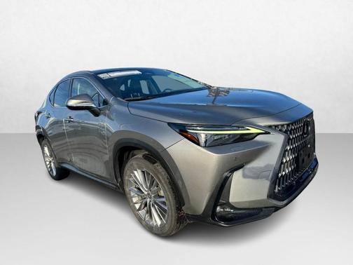 2023 Lexus NX 350 Luxury