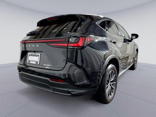 2022 Lexus NX 250 Base
