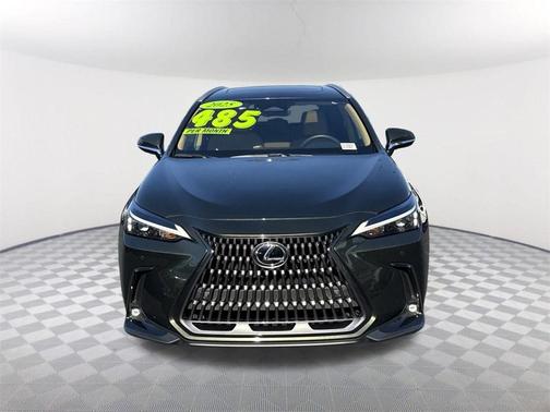 2025 Lexus NX 250 Premium