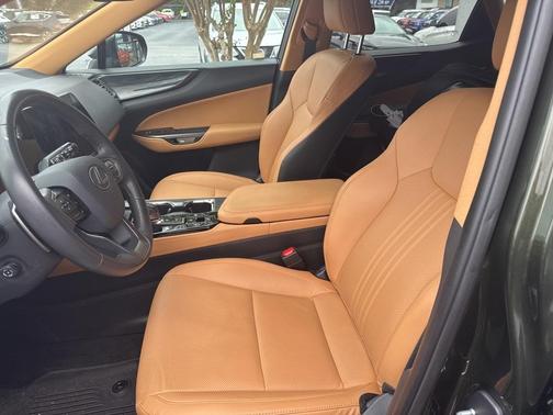 2025 Lexus NX 250 Premium