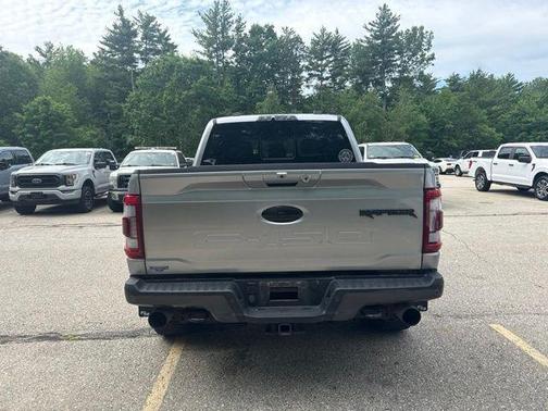Iconic Silver Metallic 2021 Ford F-150 Raptor