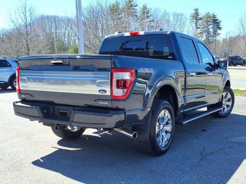 Smoked Quartz Metallic Tinted Clearcoat 2022 Ford F-150 Platinum