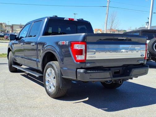 Smoked Quartz Metallic Tinted Clearcoat 2022 Ford F-150 Platinum