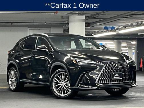 2024 Lexus NX 350 Luxury