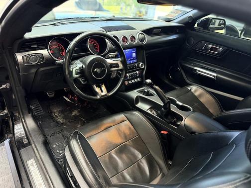 2019 Ford Mustang GT Premium