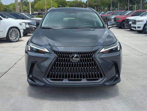 Cloudburst Gray 2023 Lexus NX 250 Premium