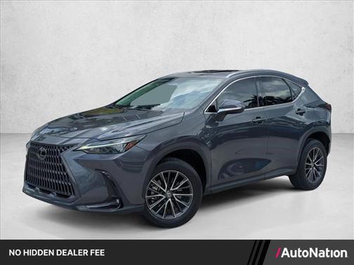 Cloudburst Gray 2023 Lexus NX 250 Premium