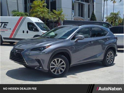 Nebula Gray Pearl 2019 Lexus NX 300 Base