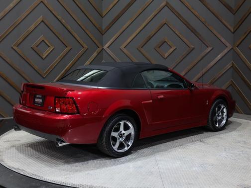 Black Clearcoat 2003 Ford Mustang SVT Cobra