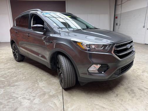 Magnetic 2018 Ford Escape SE
