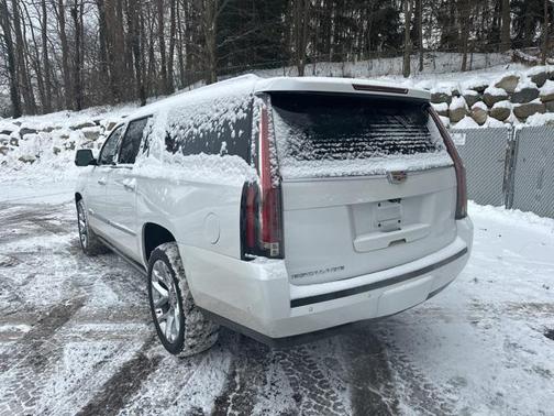 2019 Cadillac Escalade ESV Platinum