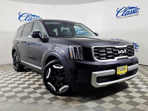 Panthera Metal 2025 Kia Telluride S