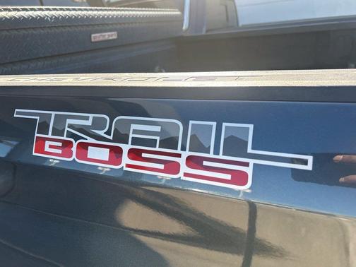 Gray 2020 Chevrolet Silverado 1500 LT Trail Boss