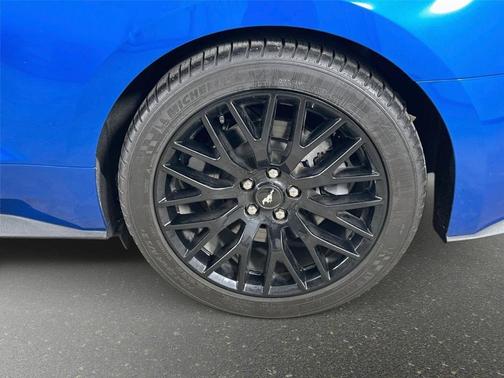 Blue Metallic 2019 Ford Mustang