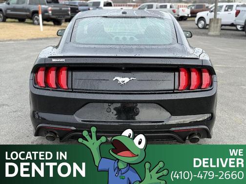 2019 Ford Mustang EcoBoost