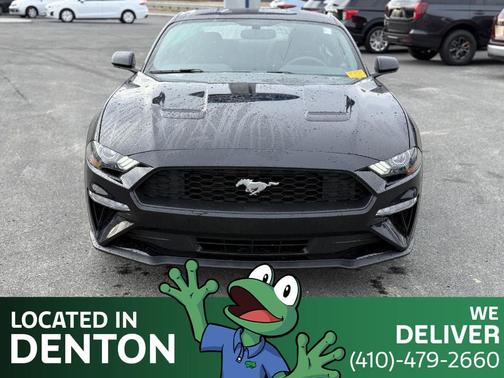 2019 Ford Mustang EcoBoost