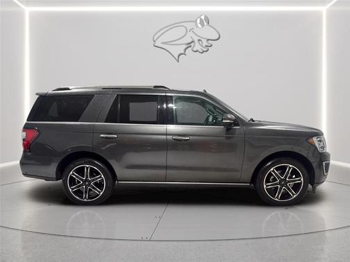 Magnetic 2020 Ford Expedition Limited