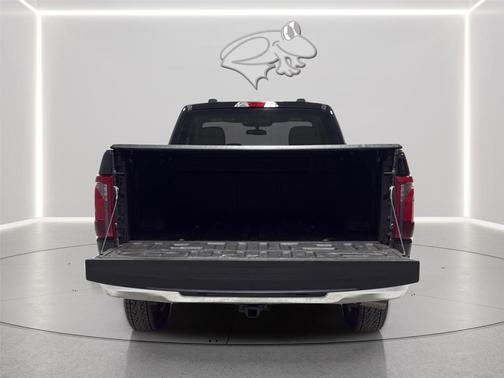 Agate Black 2025 Ford F-150 XL