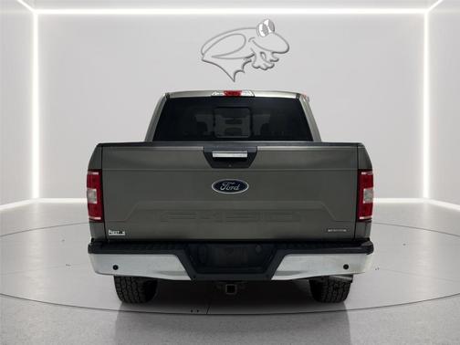 Silver Spruce 2019 Ford F-150 XLT