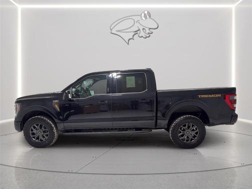 Agate Black 2021 Ford F-150 Tremor