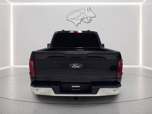 Agate Black 2025 Ford F-150 XL