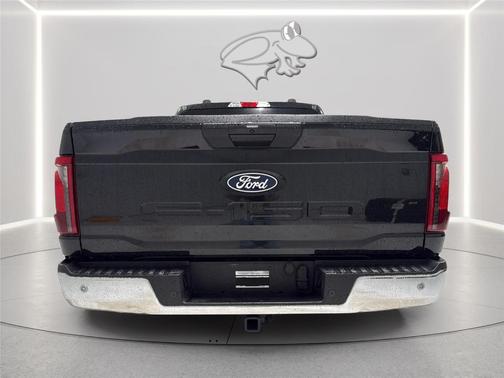 Agate Black 2025 Ford F-150 XL