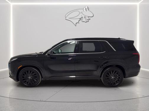 Abyss Black Pearl 2025 Hyundai PALISADE Calligraphy Night Edition