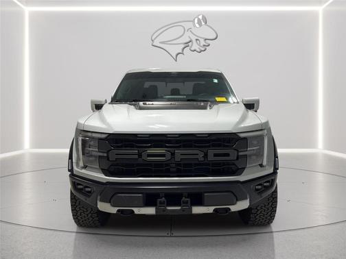 Avalanche Gray 2024 Ford F-150 Raptor