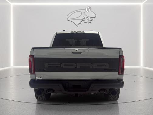 Avalanche Gray 2024 Ford F-150 Raptor