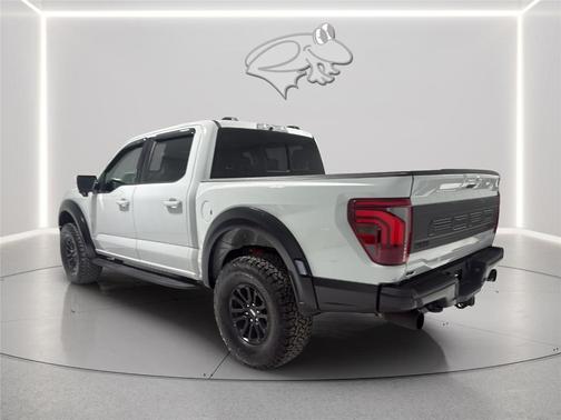 Avalanche Gray 2024 Ford F-150 Raptor