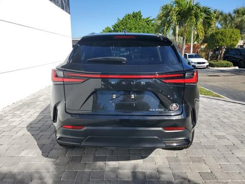 2023 Lexus NX 250 Base
