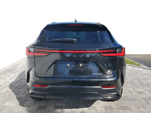 2023 Lexus NX 250 Base